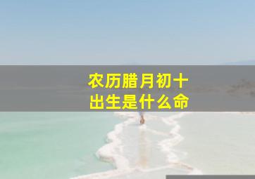 农历腊月初十出生是什么命