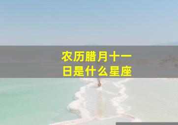 农历腊月十一日是什么星座