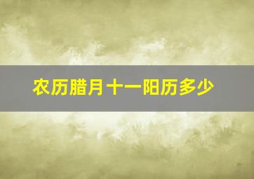 农历腊月十一阳历多少