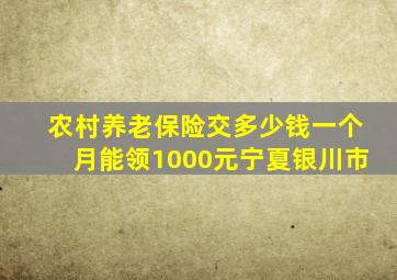 农村养老保险交多少钱一个月能领1000元宁夏银川市