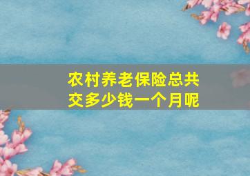 农村养老保险总共交多少钱一个月呢