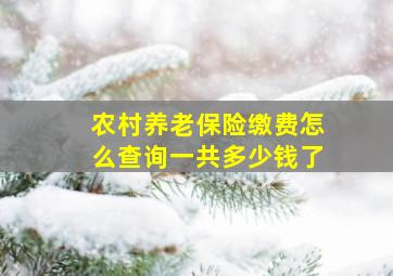 农村养老保险缴费怎么查询一共多少钱了