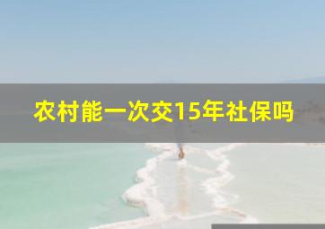 农村能一次交15年社保吗