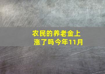 农民的养老金上涨了吗今年11月