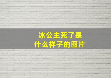 冰公主死了是什么样子的图片