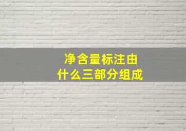 净含量标注由什么三部分组成