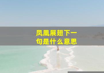 凤凰展翅下一句是什么意思