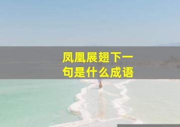 凤凰展翅下一句是什么成语