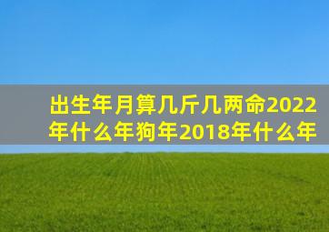 出生年月算几斤几两命2022年什么年狗年2018年什么年