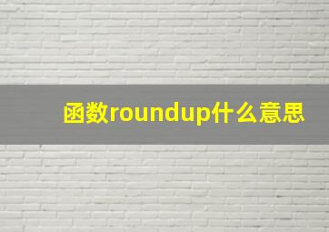 函数roundup什么意思