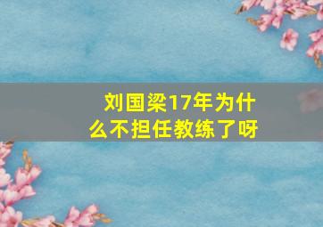 刘国梁17年为什么不担任教练了呀