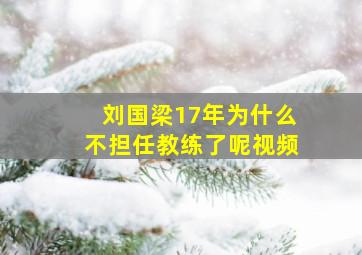 刘国梁17年为什么不担任教练了呢视频