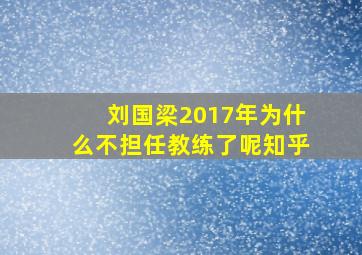 刘国梁2017年为什么不担任教练了呢知乎