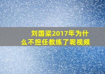 刘国梁2017年为什么不担任教练了呢视频