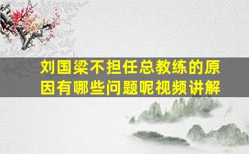 刘国梁不担任总教练的原因有哪些问题呢视频讲解