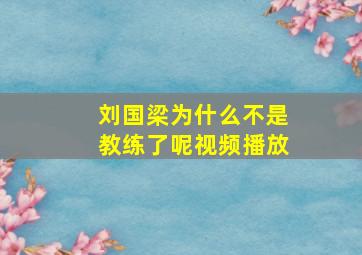 刘国梁为什么不是教练了呢视频播放