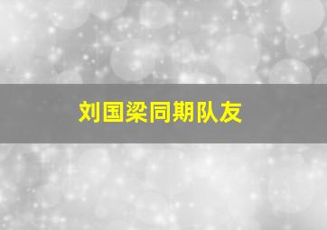 刘国梁同期队友