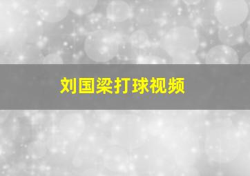 刘国梁打球视频