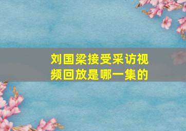 刘国梁接受采访视频回放是哪一集的