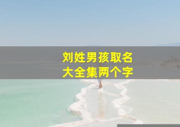 刘姓男孩取名大全集两个字