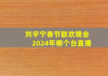 刘宇宁春节联欢晚会2024年哪个台直播