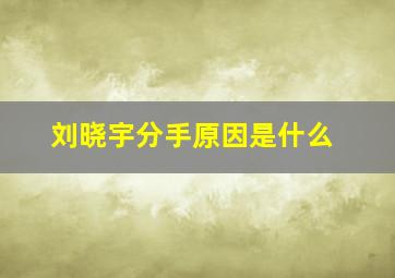 刘晓宇分手原因是什么