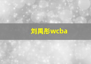 刘禹彤wcba