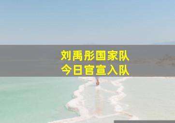 刘禹彤国家队今日官宣入队