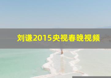 刘谦2015央视春晚视频