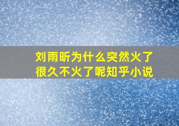 刘雨昕为什么突然火了很久不火了呢知乎小说