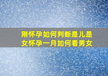 刚怀孕如何判断是儿是女怀孕一月如何看男女