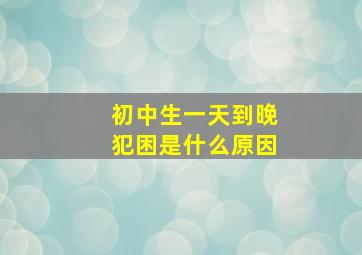 初中生一天到晚犯困是什么原因