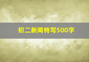 初二新闻特写500字