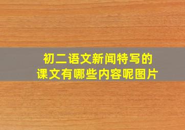 初二语文新闻特写的课文有哪些内容呢图片