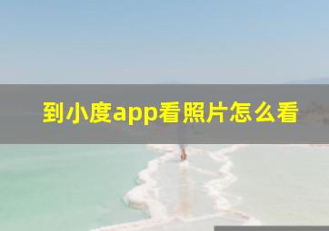 到小度app看照片怎么看