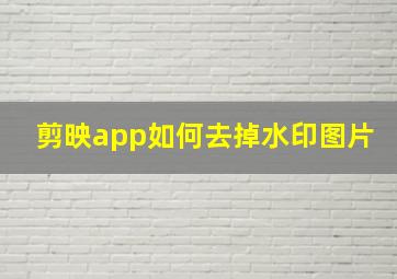 剪映app如何去掉水印图片