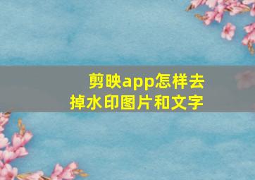 剪映app怎样去掉水印图片和文字