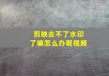 剪映去不了水印了嘛怎么办呢视频