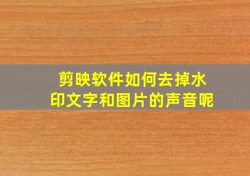 剪映软件如何去掉水印文字和图片的声音呢