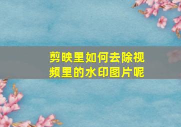 剪映里如何去除视频里的水印图片呢