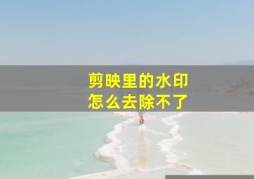 剪映里的水印怎么去除不了