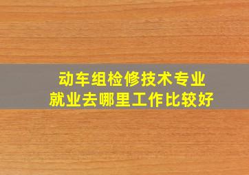 动车组检修技术专业就业去哪里工作比较好