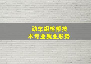 动车组检修技术专业就业形势