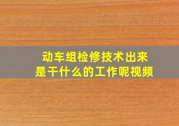 动车组检修技术出来是干什么的工作呢视频