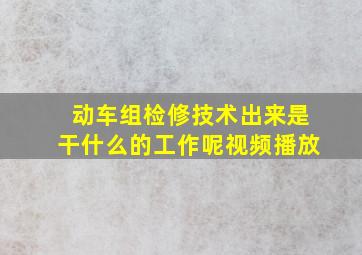 动车组检修技术出来是干什么的工作呢视频播放