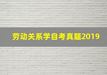 劳动关系学自考真题2019