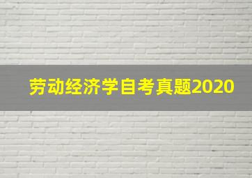 劳动经济学自考真题2020