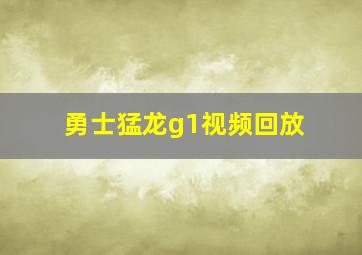 勇士猛龙g1视频回放