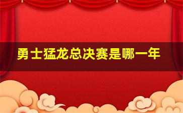 勇士猛龙总决赛是哪一年