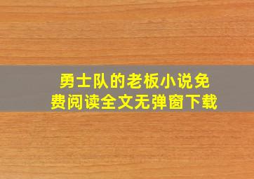 勇士队的老板小说免费阅读全文无弹窗下载